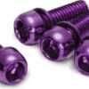 Reverse Disc Rotor Bolt Steel Purple -elvedes shop 1860096600ed17edeef15.10377798
