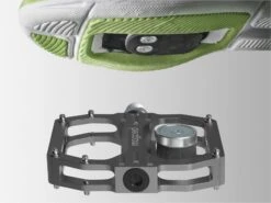 Front Page -elvedes shop 1914745601a944d34a353.62719352