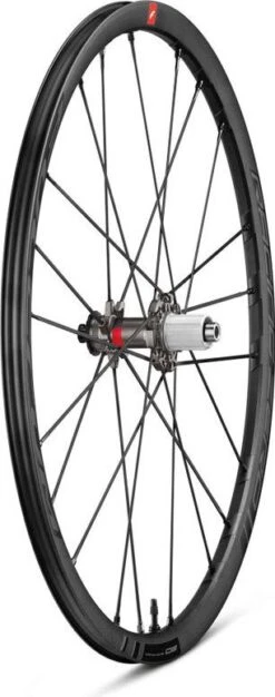 Fulcrum Racing Zero DB 700 Mm Wheelset | 12x100 - 12x142 Mm | Center Lock | 2021 -elvedes shop 2138986615574b365f8d4.00581340