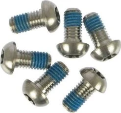 AVID Titanium Screw Kit For Disc (x6)